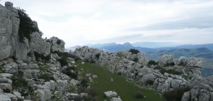 Early herding communities of the Southern Iberian Peninsula used a wide variety of livestock management strategies