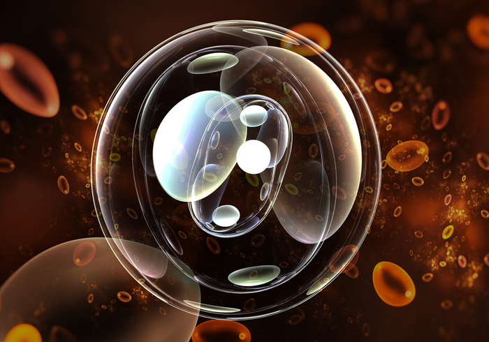 Membraneless Organelle