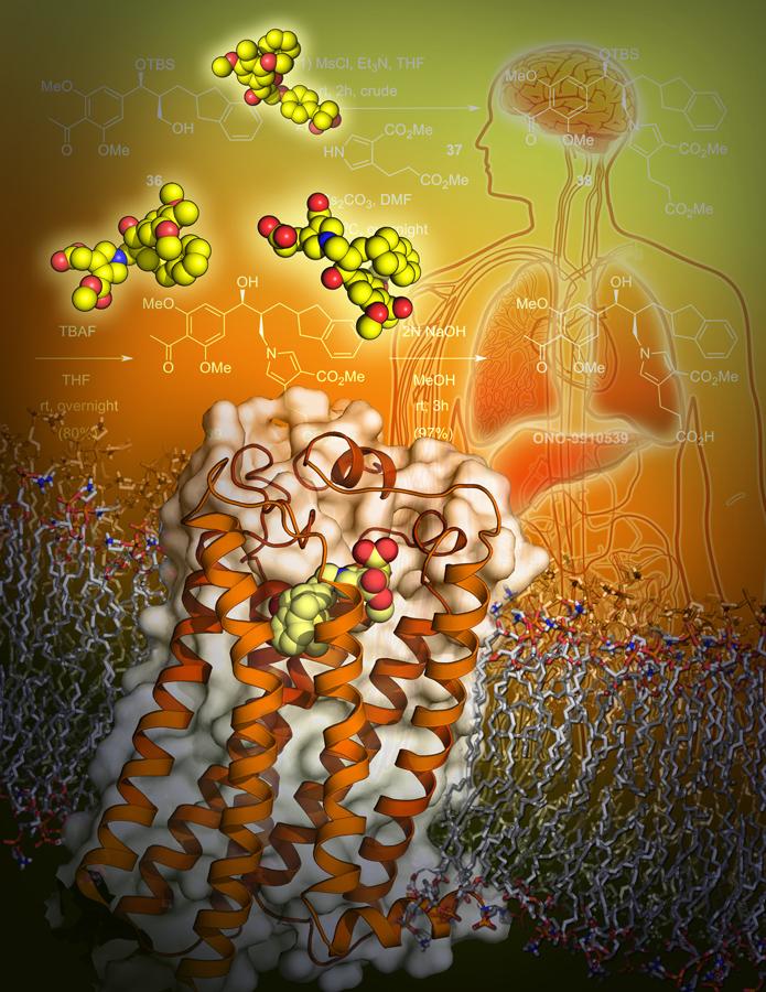 LPA1 Receptor