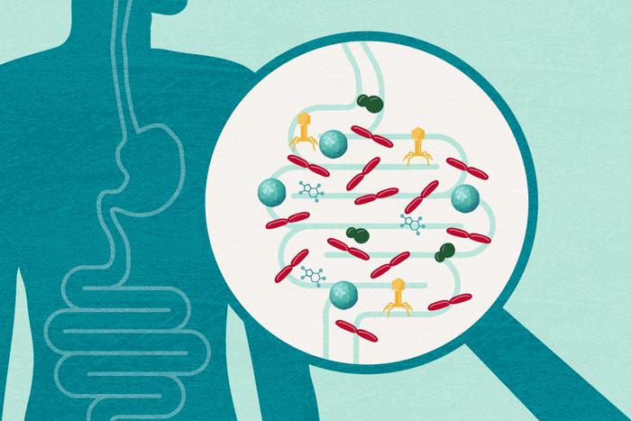 Gut microbiota