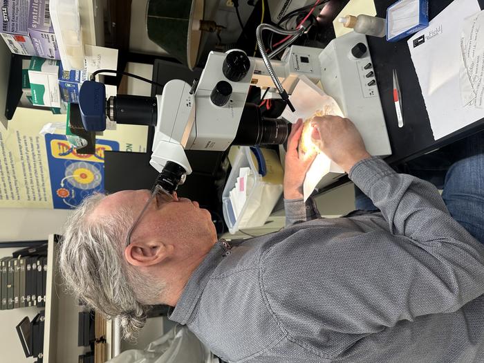 Matt von Konrat vertical