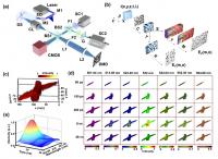 Schematic and 5D imaging of SV-CUP