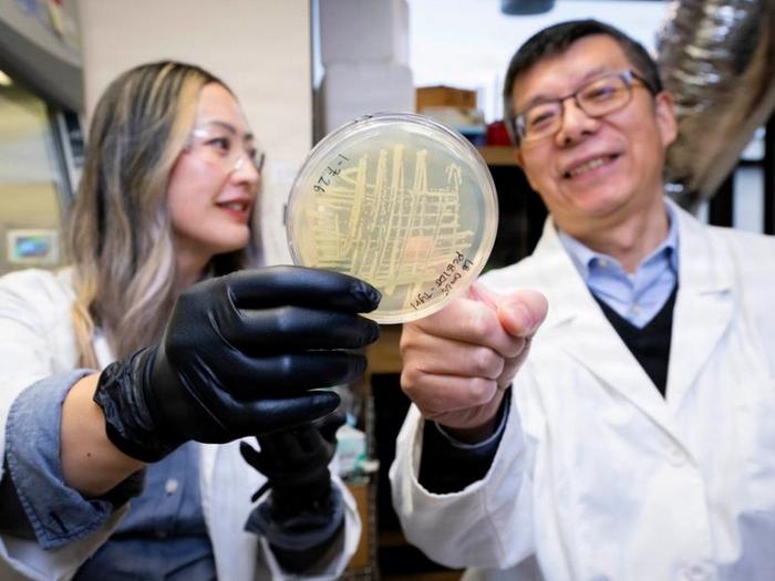 Microbes Reveal Missing Link in Space Manufacturing