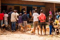 A vaccine station in Malawi