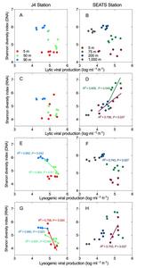 Figure 2: The linear relationship between lytic viral production (Lytic VP), lysogenic viral production (Lysogenic VP), and bacterial community diversity (Shannon diversity) on a diel time scale in different water layers at the coastal station (J4) and th