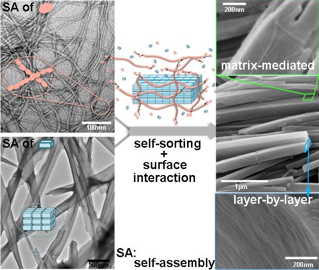 Molecular "Bricks" and "Scaffolding"
