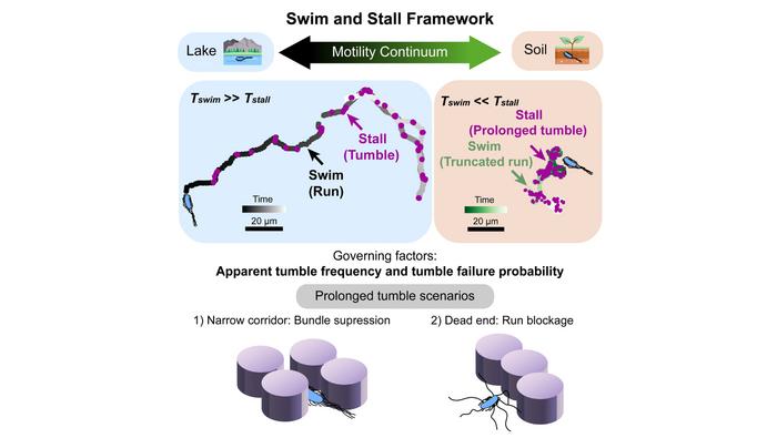 Swim and Stall Framework