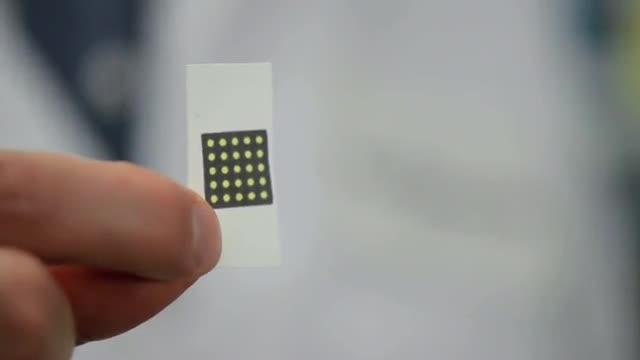 Detection of Zika Virus Using Paper-Based Synthetic Gene Networks