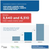 How Many Cancer Cases Are Environmental Agents Associated With?