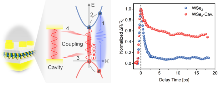 Figure 2 | Local field enhancement and Purcell effect.