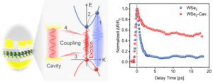 Figure 2 | Local field enhancement and Purcell effect.