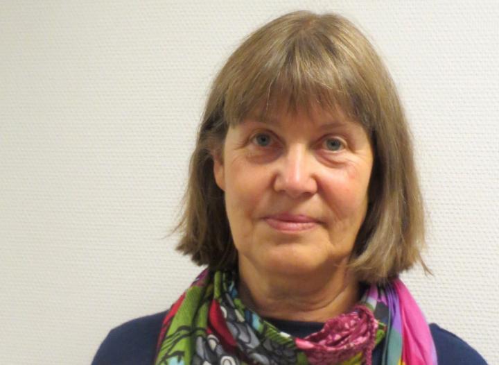 Lotta Selin, University of Gothenburg
