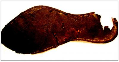 A Leather Sole