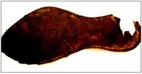 A Leather Sole