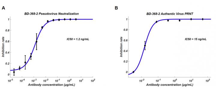 Neutralization Potency
