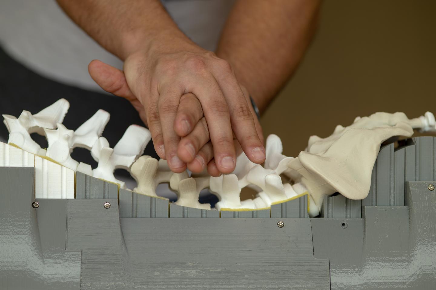 SpinalLog -- Looks and Feels like a Human Spine