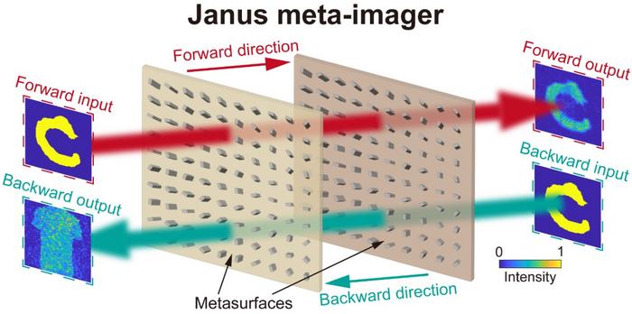 Schematic of Janus meta-imager