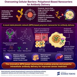 Overcoming Cellular Barriers: Polyphenol-Based Nanocarriers for Antibody Delivery