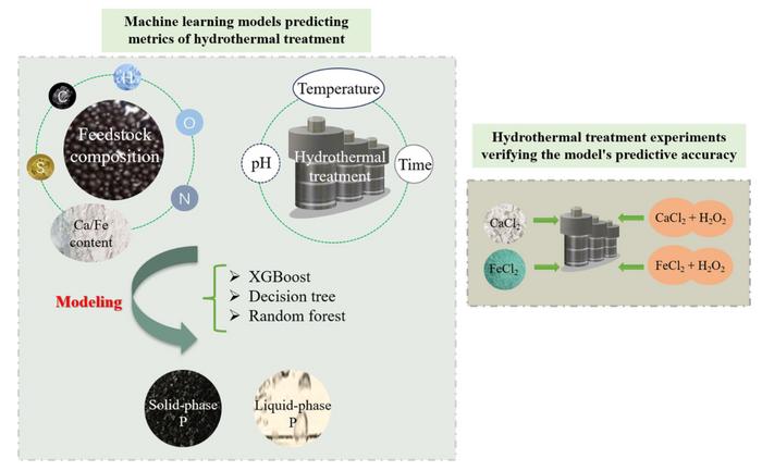 Optimizing the conditions of biowastes hydrothermal treatment and predicting phosphorus fate in the hydrochar and liquid phase using machine learning