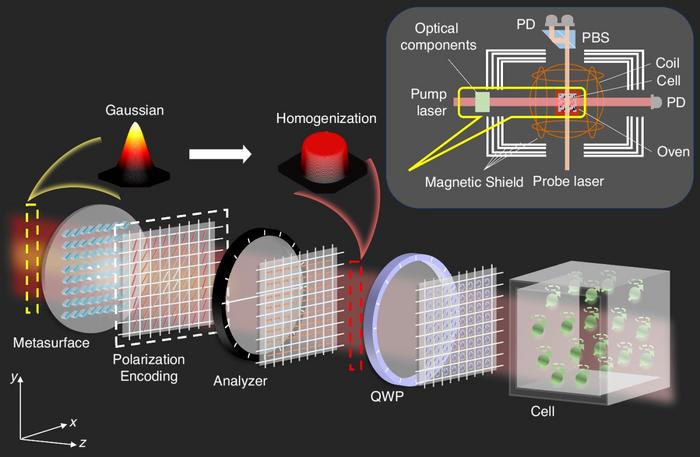 Schematic diagram of the beam homogenization method based on polarization-encoded metasurface.