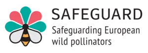 Safeguard Project