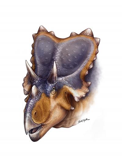 Mercuriceratops Gemini