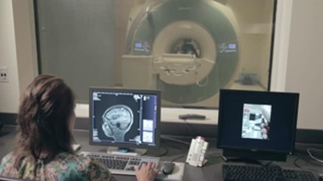 fMRI Memories