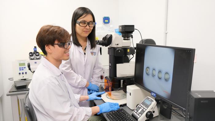 NUS team discovers new method of cultivating human norovirus using zebrafish embryo