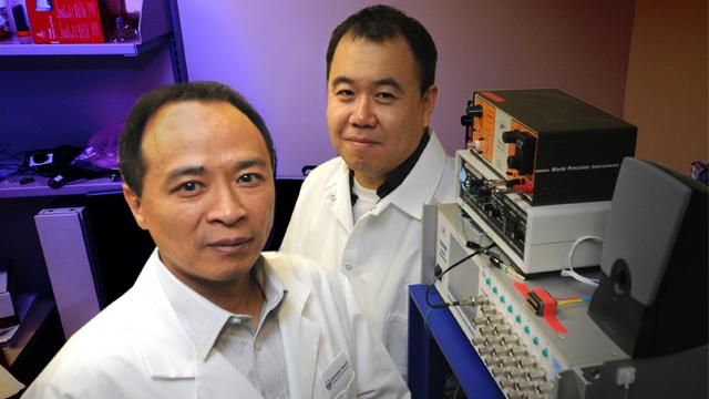 Joe Z. Tsien and Phillip Wang, Medical College of Georgia at Georgia Regents University