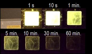 Organic glow-in-the-dark samples