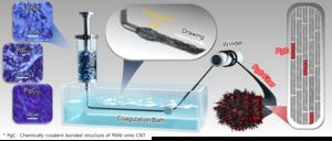 [Figure 3] Schematic of the manufacturing process for CNT-PANI composite fibers