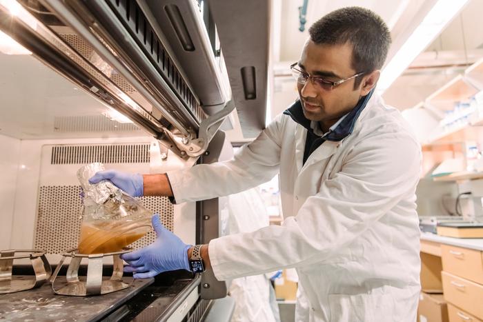 New study opens door to pan-enterovirus therapeutics