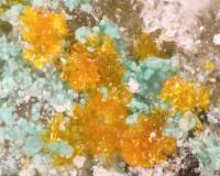 Minerals Redcanyonite