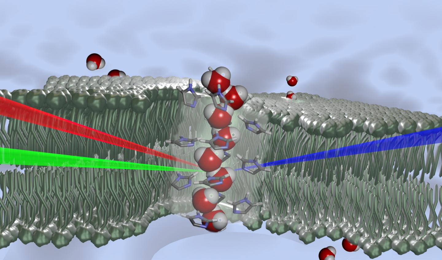 Schematic Representation of Water Molecules with a Wire-Like Structure