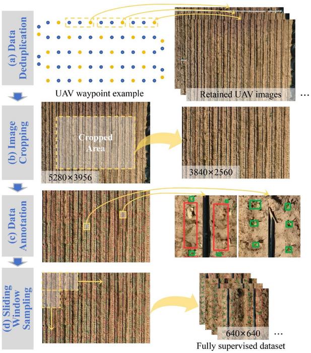 Figure 1. Construction workflow of the fully supervised dataset.