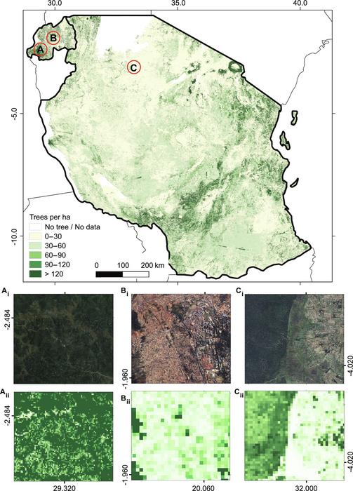 Spatial distribution of the estimated number of trees per ha in Rwanda and Tanzania in 2019.