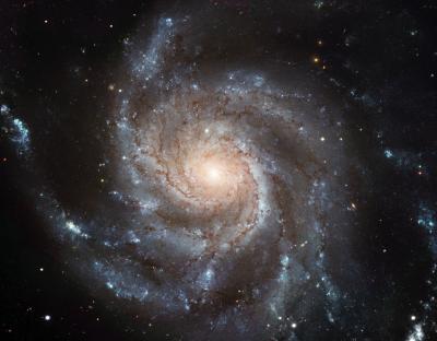 Pinwheel Galaxy (M101)