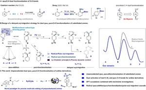 A Visible Light-Catalyzed Delayed Aryl Migration Strategy for Precise ipso-, para-Difunctionalization of Aromatic Amines