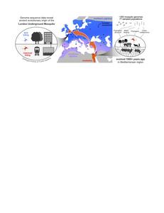 Overview of paper figure