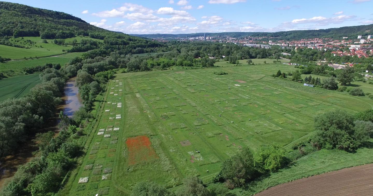 Aerial Photo of the Jena Experiment