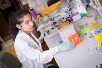 Microfluidic Device Sorts Tumor Cells Based on 'Stickiness' - 2