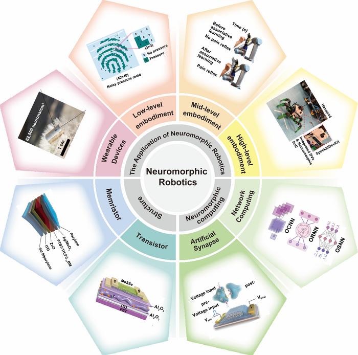 The Ecosystem of Neuromorphic Robotics
