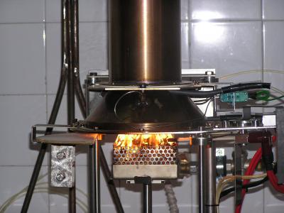 Plants' Response to Fire Tested