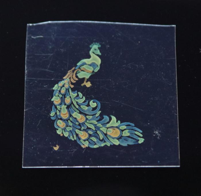 260403-Sugimoto-Inkjet-Peacock_multi