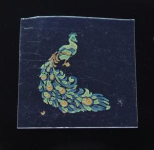 260403-Sugimoto-Inkjet-Peacock_multi