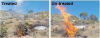 Pilot-Scale Burns