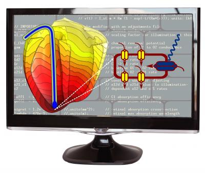 Heart Light Illustration