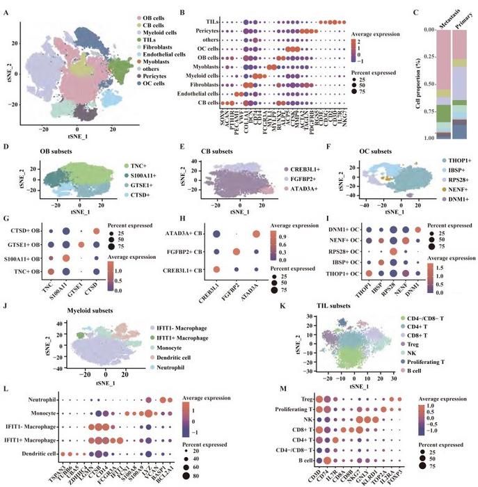 Single-cell RNA transcriptome revealed heterogeneity between primary and metastatic OS.