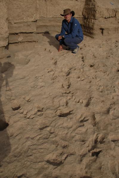 1.5 Million-Year Footprints Show Modern Stride (8 of 9)