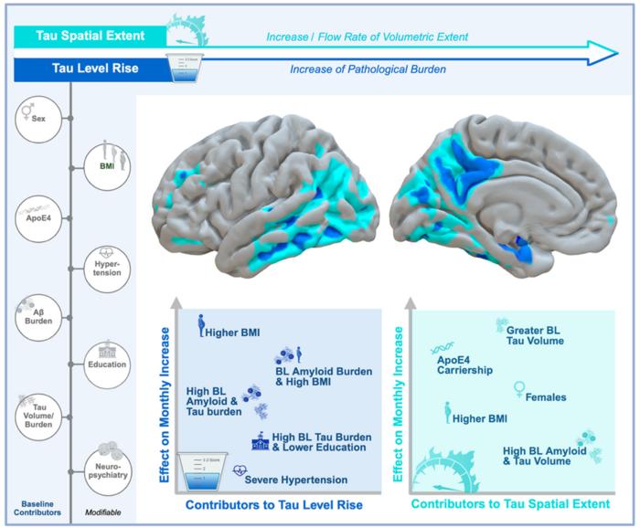 The role of (non-)modifiable factors on tau-spatial-extent and level-rise.